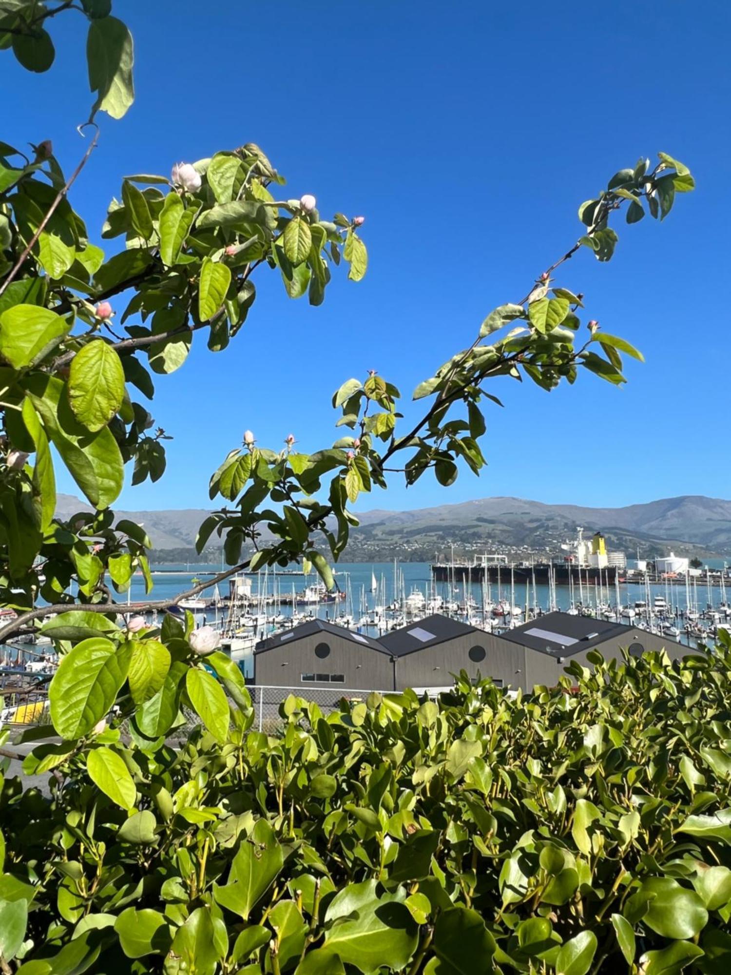 Sea Views In Luxury At Lyttelton Boatique House - 14 Km From Christchurch Exterior photo